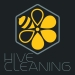 Hive Cleaning Ltd
